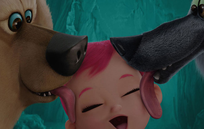 攻击网站的方法